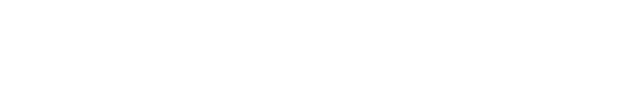 DSV Logo